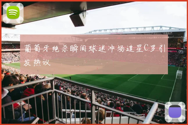 葡萄牙绝杀瞬间球迷冲场追星C罗引发热议