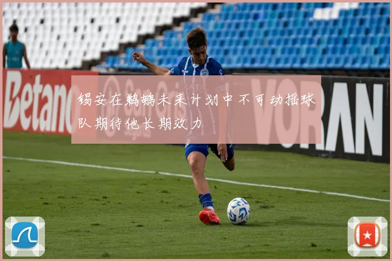 锡安在鹈鹕未来计划中不可动摇球队期待他长期效力